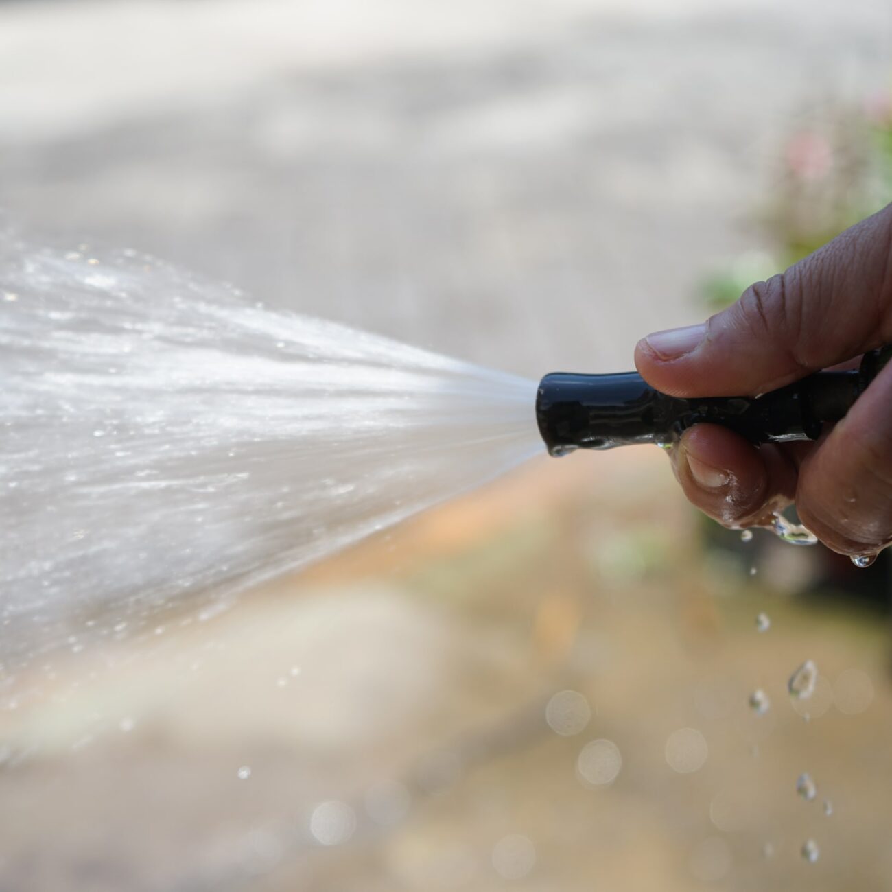 eichinomizu-usage-farm-2-min